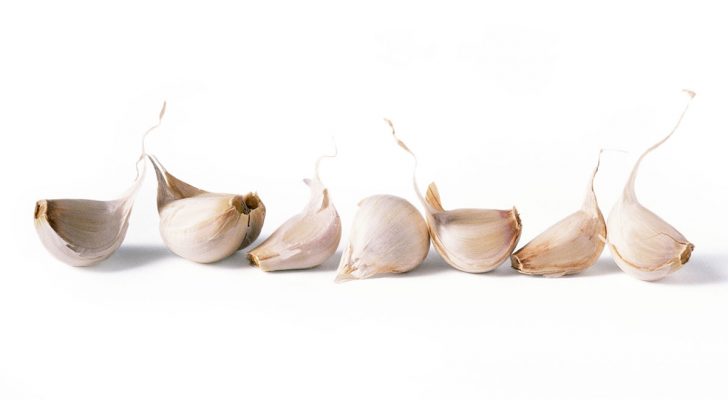 In 2 stappen zelf knoflook kweken