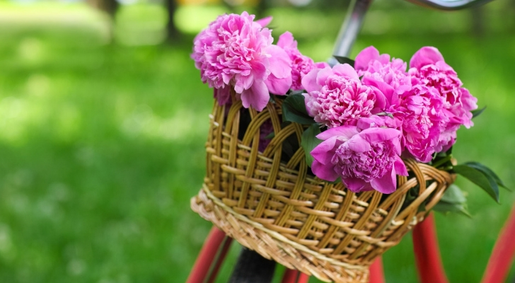 Met deze 6 handige tips blijven je bloemen langer mooi