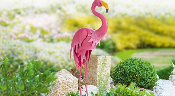 Een paradijsvogel in je tuin voor maar € 9,99