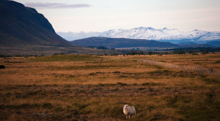 Carolyn woont in IJsland en deelt haar favoriete plekken