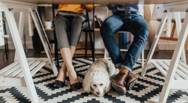 hond onder de tafel