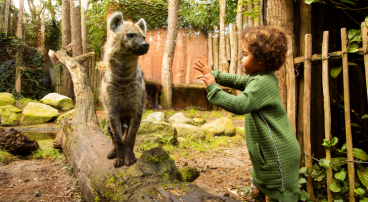 Dierenpark Amersfoort