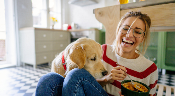 mensenleeftijd hond leeftijd