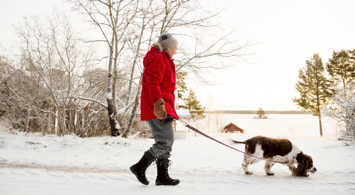 wandelen sneeuw