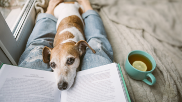 Hond Lezen