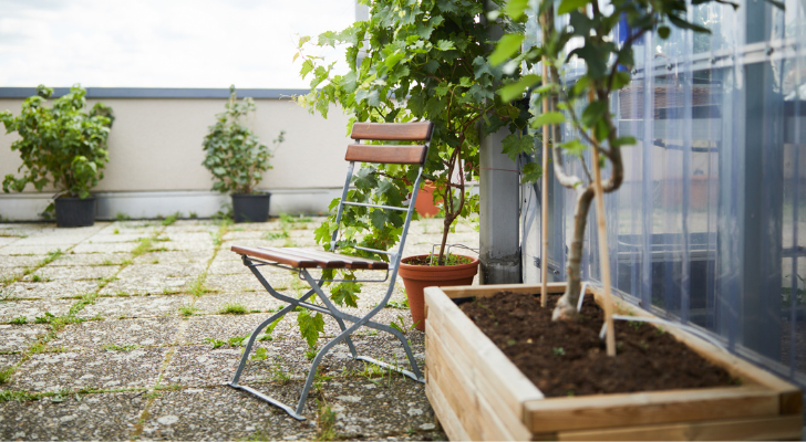 tuin groene aanslag terras