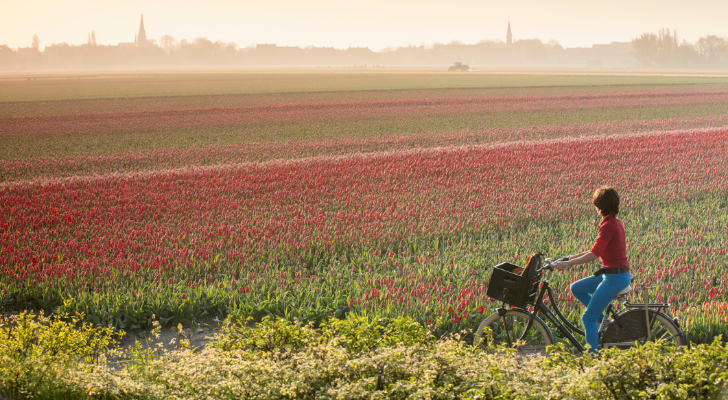 fietsen bloemen bollenstreek