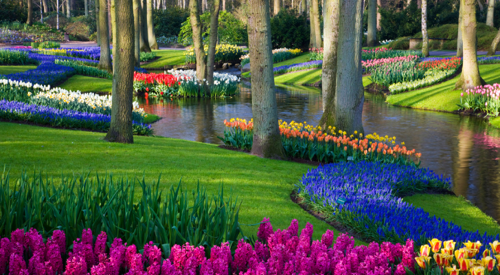 keukenhof