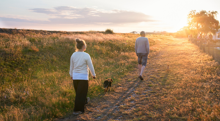 Dagelijkse Wandeling wandelen