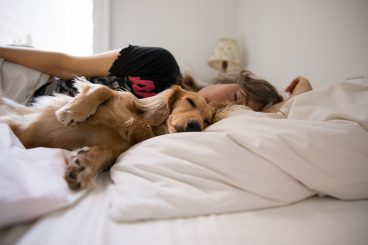Slapen met je huisdier