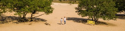 National Park Dunes Of Loon And Drunen