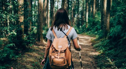 wandelroute het hondsrugpad