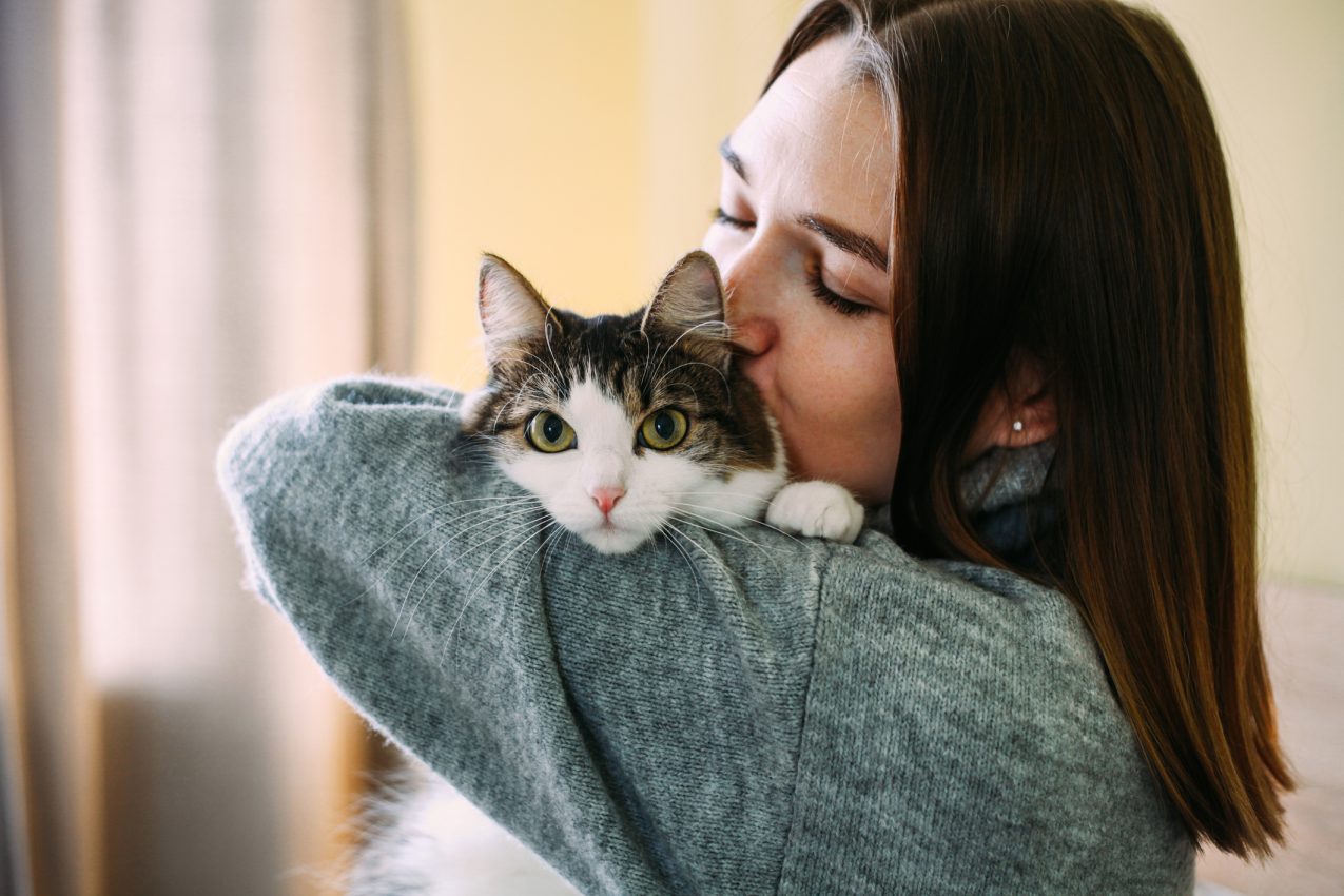 een kat die wordt vastgehouden