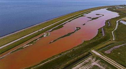 Natuurgebied Op Texel Kleurt Roze