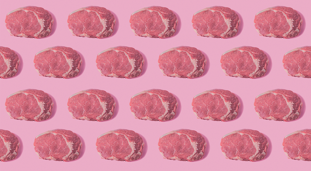 het carnivoor dieet