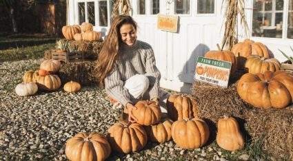 herfstactiviteit sterrenbeeld