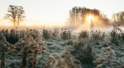 Dít kunnen we komende winter verwachten van het weer