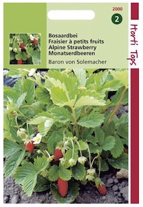 Aardbeienzaadjes aardbeiendag