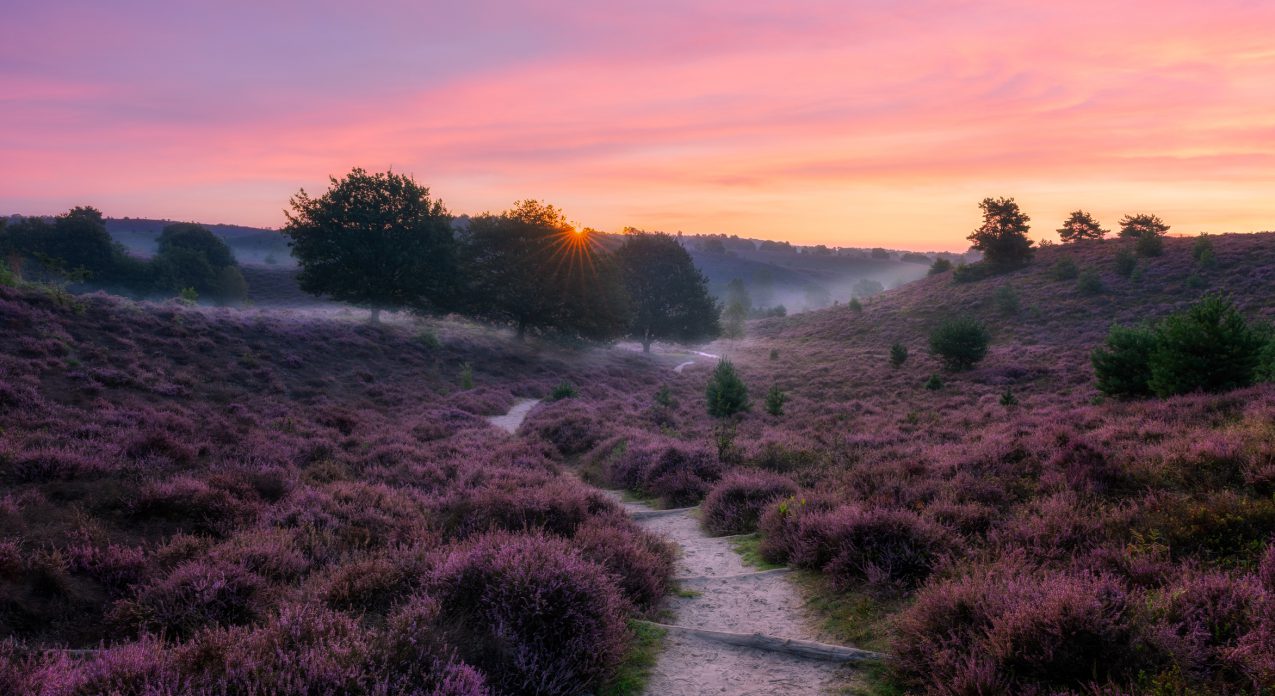 stellingenpad het mooiste wandelpad van nederland