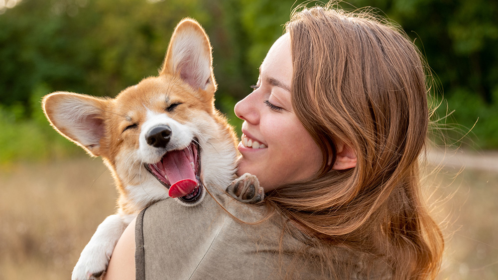 zo zie je of je hond blij is