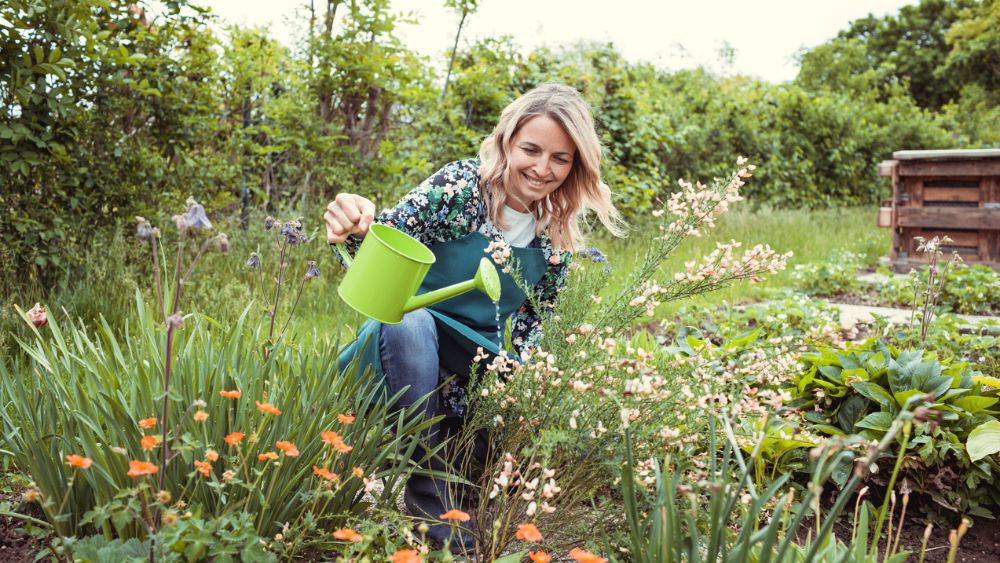 Last van hooikoorts? Vermijd van dan deze planten in je tuin