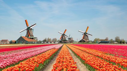 Eindelijk: vandaag wordt de eerste warme dag van 2023 verwacht
