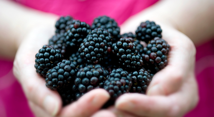 Why not eat fresh blackberries