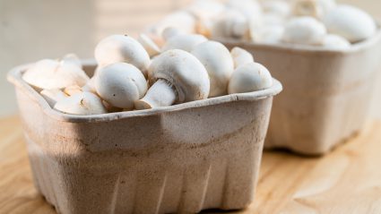 TikTokker deelt beste manier om champignons schoon te maken zonder ze te wassen