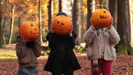 Wat te doen in de herfstvakantie?