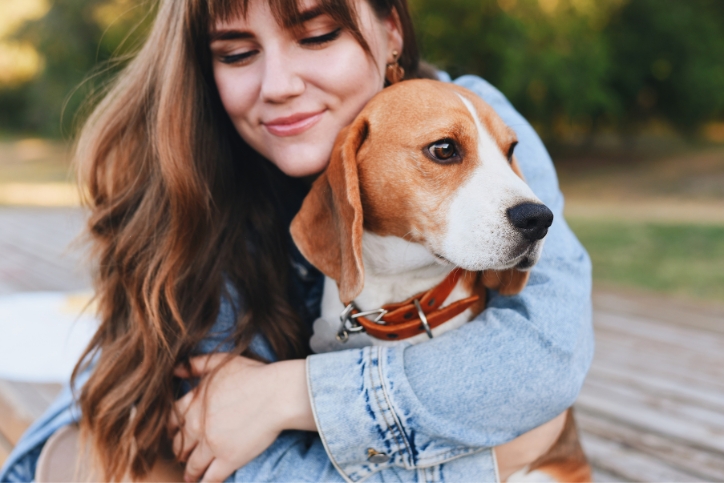 Honden Absoluut Niet Leuk