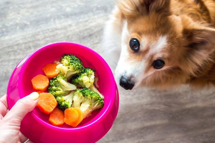 groente en fruit die hond mag eten