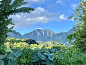 Wat is het mooiste eiland van Hawaii? Wat kan je doen op Hawaï?