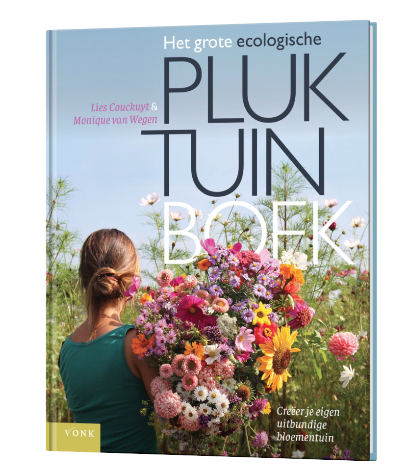 Schermafbeelding 2026 03 12 Om 13.32.24