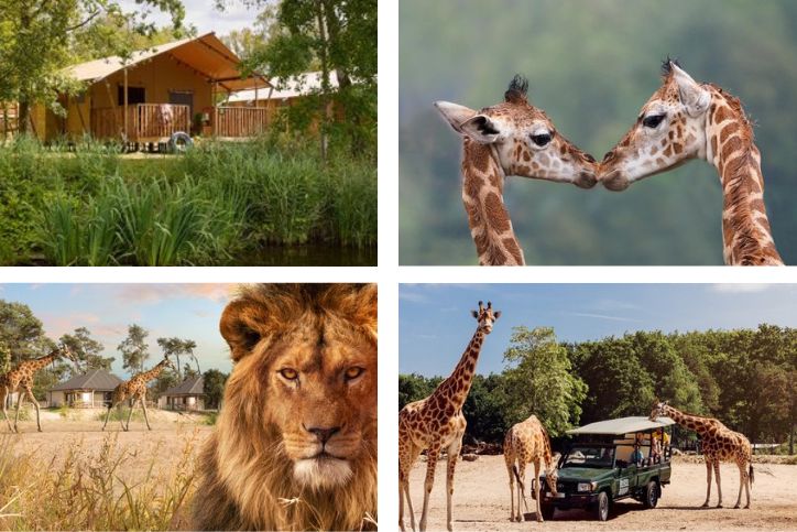 Safaripark Beekse Bergen