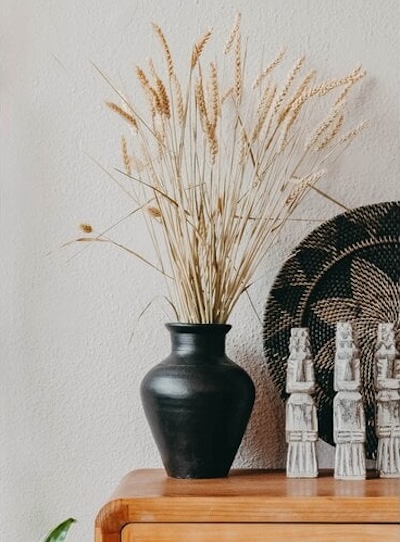 Tarwe Natuurlijke Gedroogde Bloemen