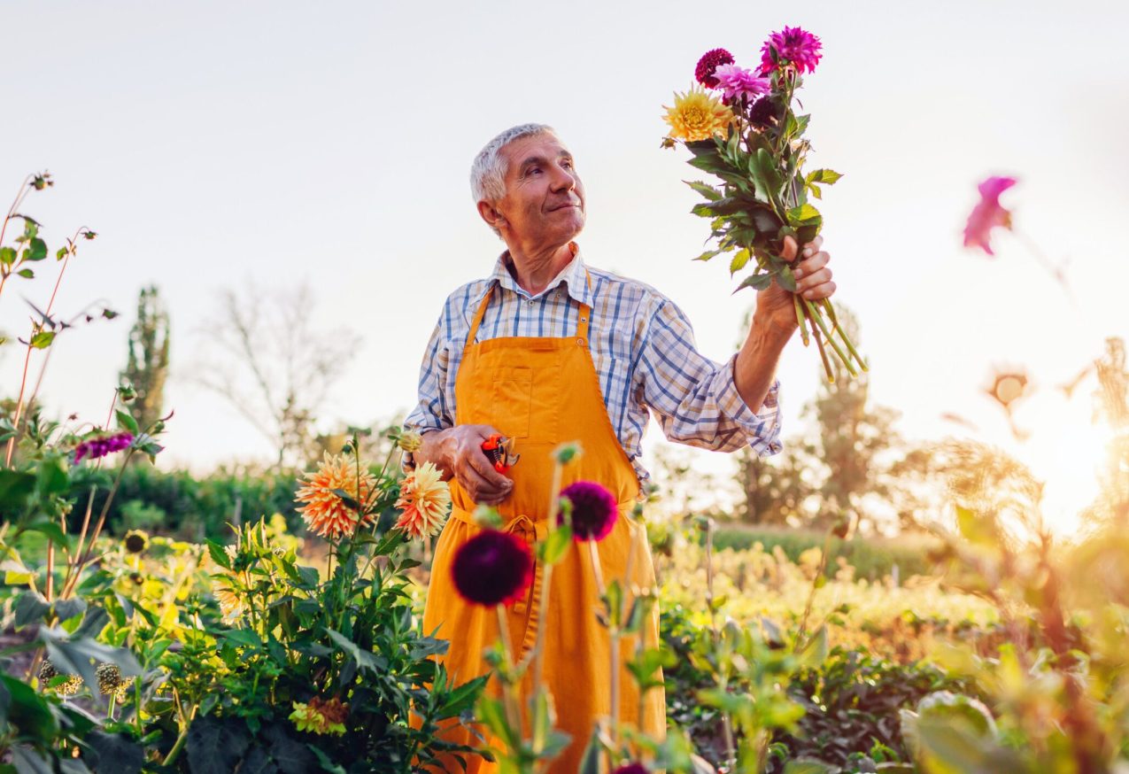 Tuinliefhebbers Vaderdag - man die tuiniert en bloemen plukt uit de tuin