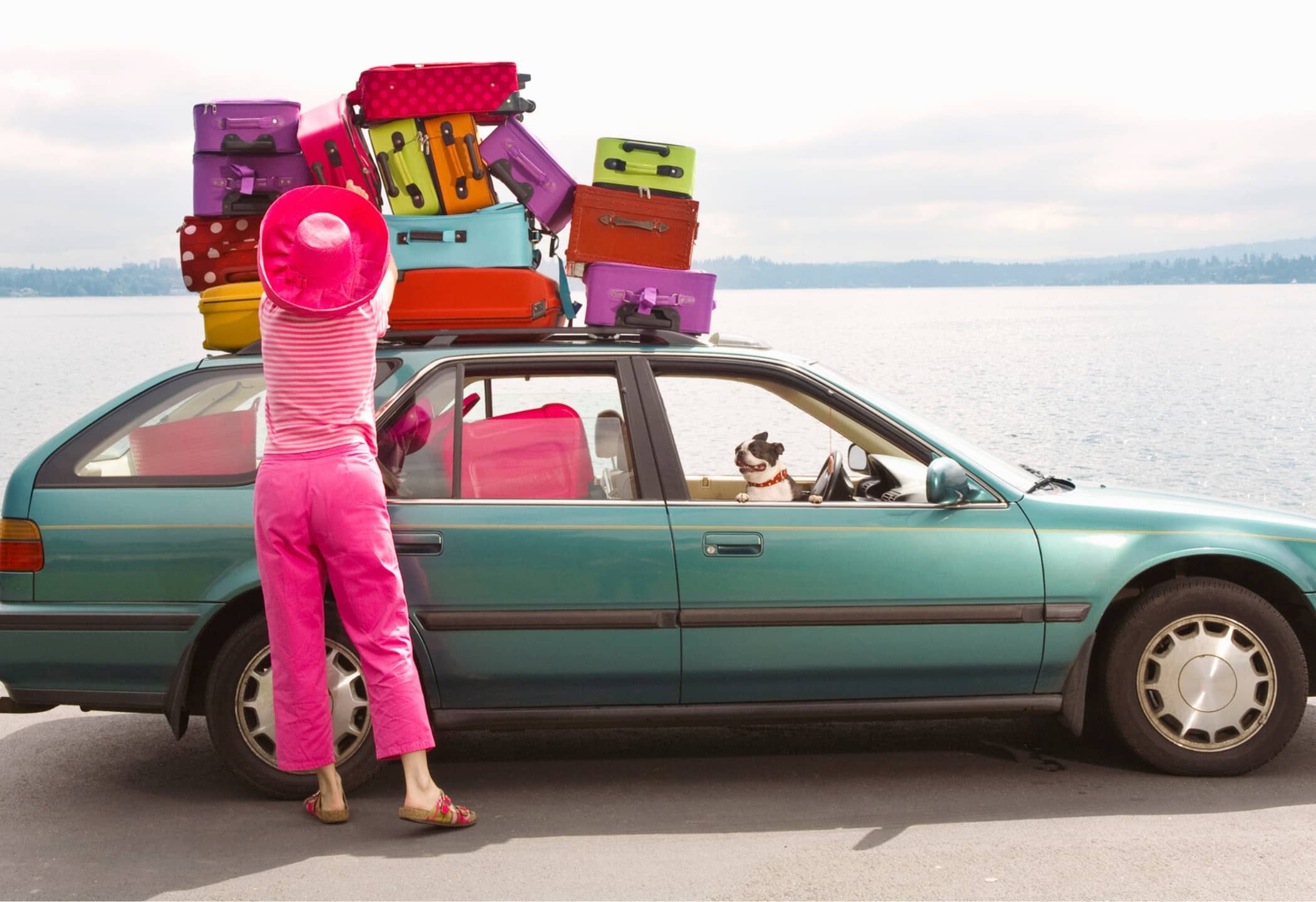 Wat mee te nemen voor je hond op vakantie? Dé utmieme checklist