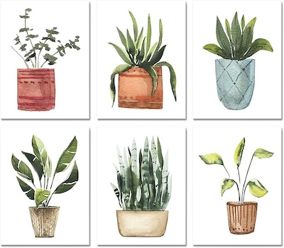 Set Van Plantenposters