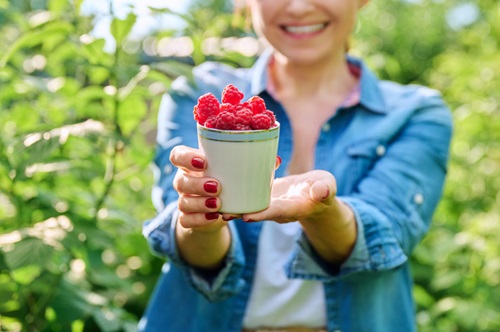 Close-up van beker met rijpe frambozen in handen van vrouw in zomertuin: frambozen snoeien