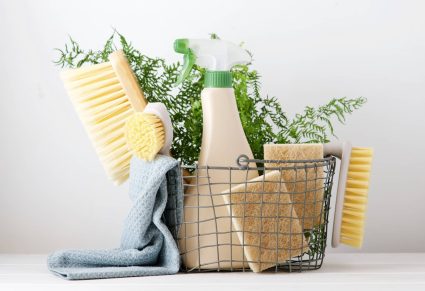 Ecologische Schoonmaaktips