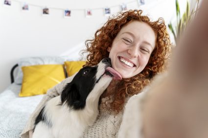 honden sterke band baasje