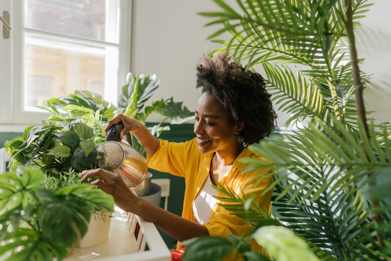 planten in huis maken gelukkiger