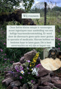 Schermafbeelding 2025 07 14 Om 10.00.33