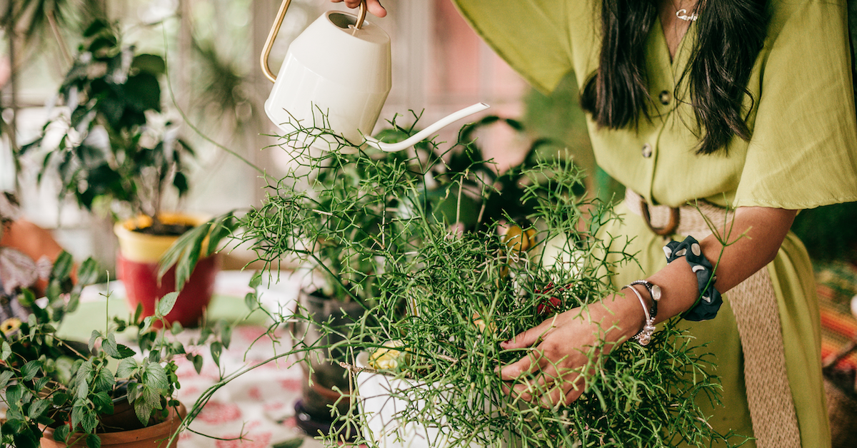 Planten