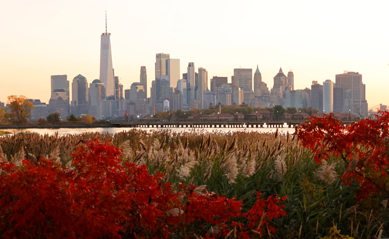 Herfst In New York City