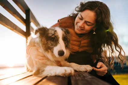 hond begrijpt je