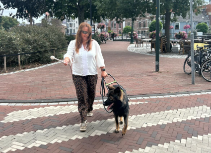 Schermafbeelding 2025 11 19 Om 13.43.21