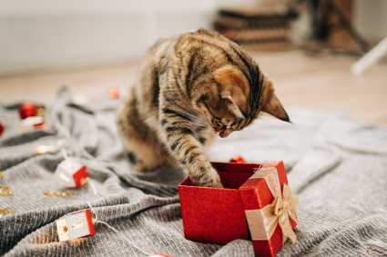 kerstcadeautjes viervoeter