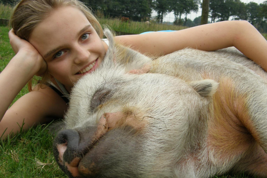 Ontwerp Zonder Titel (18)