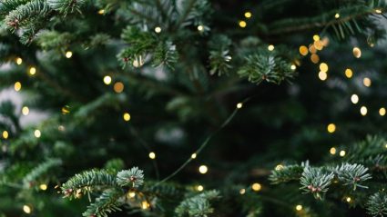 Hoe veilig is (LED) kerstverlichting? Dit wil je erover weten